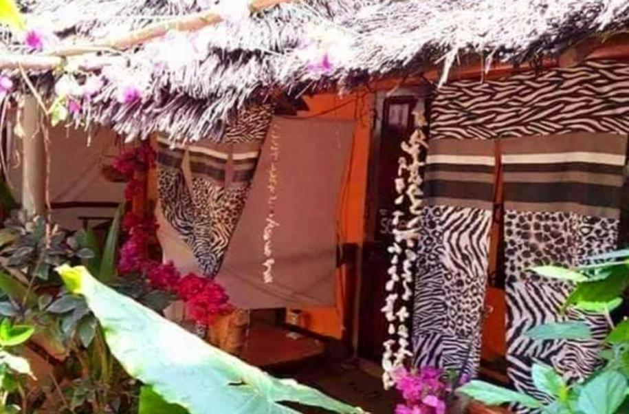 Sipano Beach Lodge Kiwengwa Kiwengwa  Exteriör bild